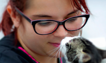 Veterinaria observando un gato de color gris examen neurologico