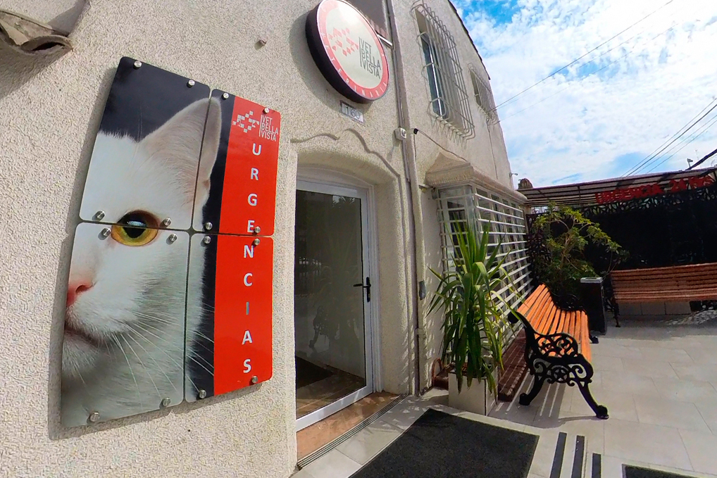 Vista lateral clinica donde hay un lienzo con imagen de gato blanco y una descripción que dice urgencia con fondo de color rojo.