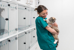 Enfermera con gato en brazos y detras caniles transparentes